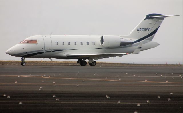 Canadair Challenger (N650PP) - Aeroporto de Santa Maria - LPAZ - Azores 05/12/2020