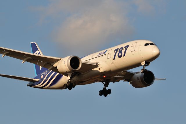 Boeing 787-8 (JA802A) - 2015/1/11