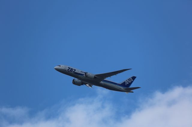 Boeing 787-8 (JA808A)
