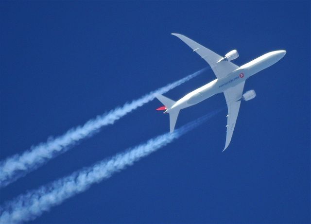 Boeing 787-9 Dreamliner (TC-LLJ) - Spotting EPZA