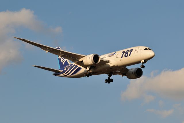 Boeing 787-8 (JA802A) - 2015/1/11
