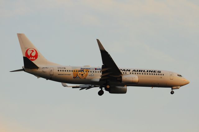 Boeing 737-800 (JA318J)