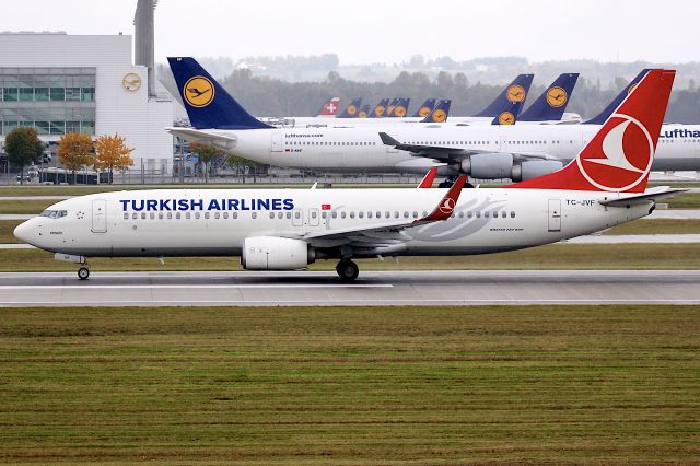 Boeing 737-800 (TC-JVF)