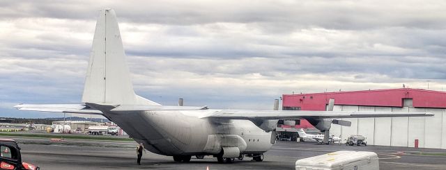 Lockheed C-130 Hercules (P4-LAC) - Lynden Air Cargo Apron, Anchorage International Airport