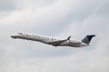 N13202 thumbnail