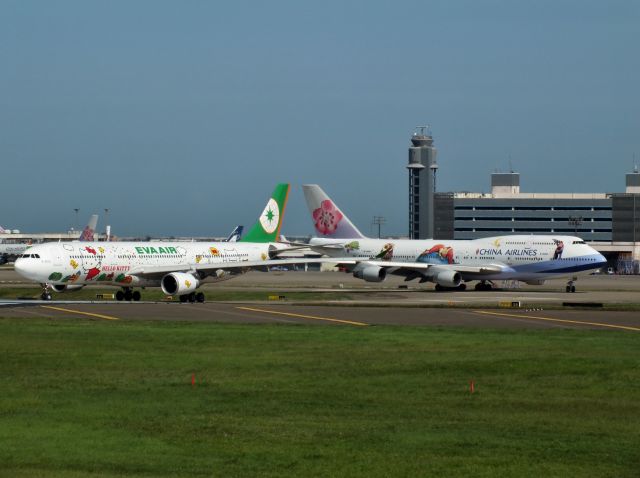 Airbus A330-300 (B-16331) - L~EVA(B-16331)R~CAL(B-18203)