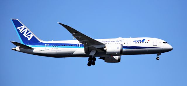 Boeing 787-8 (JA806A) - 5-18-2024