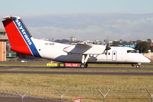 de Havilland Dash 8-100 (VH-QQD) - SKYTRANS ( Q6 / SKP )