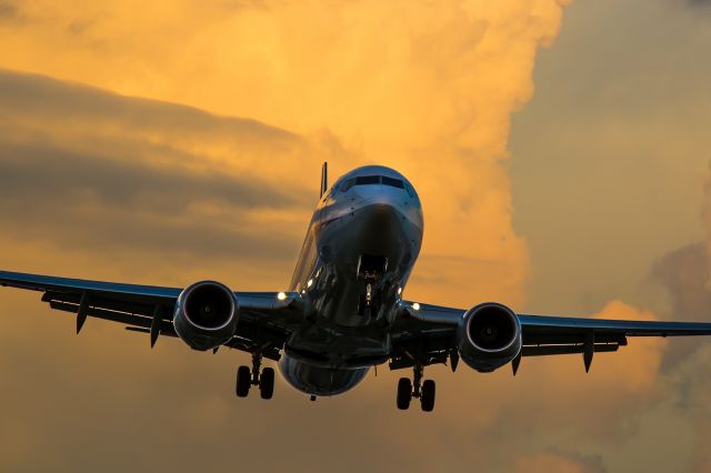 Boeing 737-800 (JA71AN)