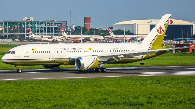 Boeing 787-8 (V8-OAS)