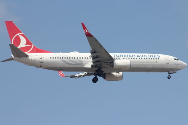Boeing 737-800 (TC-JVJ)