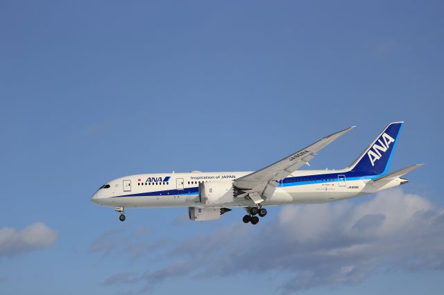 Boeing 787-8 (JA808A) - December 27th 2020:HND-HKD.