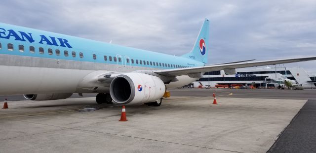 Boeing 737-700 (HL7704) - Getting on the plane