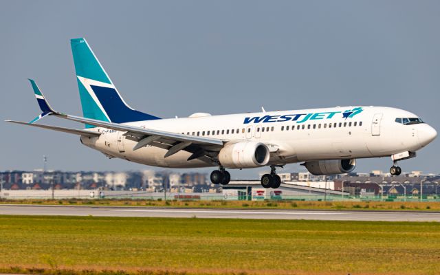 Boeing 737-800 (C-FXMS)
