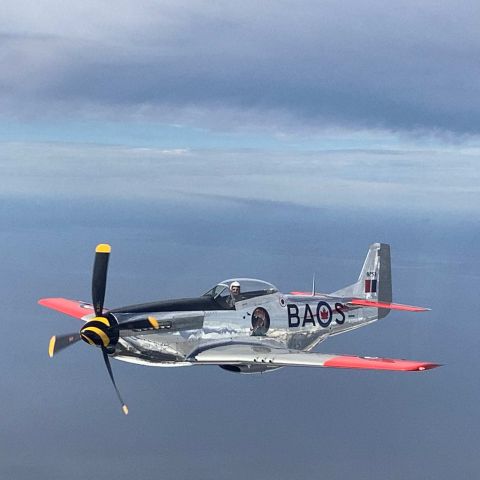 North American P-51 Mustang (N951HB) - 424 Sqn colour markings.