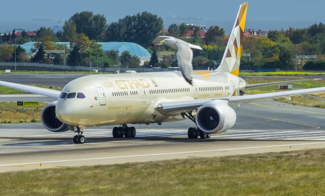 Boeing 787-8 (A6-BLS) - A bird trying to photobomb :)