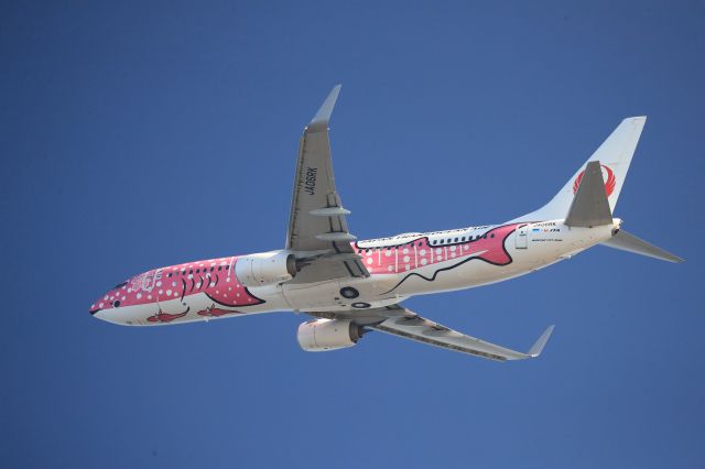 Boeing 737-800 (JA06RK) - November 23rd 2019:KIX-OKA.