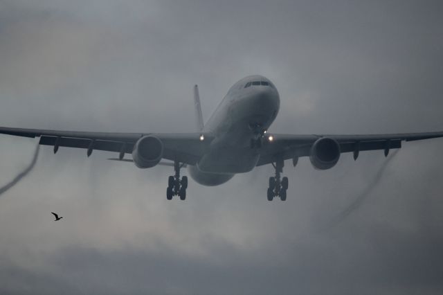 Airbus A330-300 — - On approach to runway 027L at LHR.