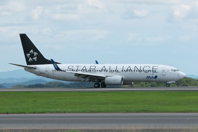 Boeing 737-800 (JA51AN)