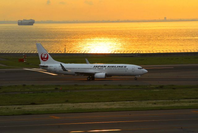 Boeing 737-800 (JA321J)