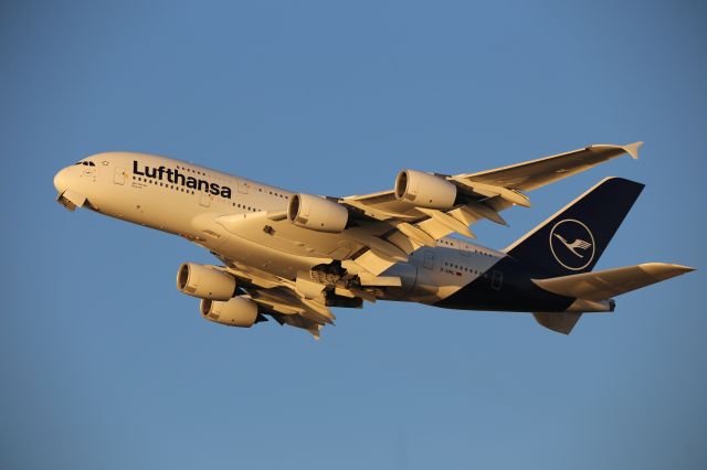 Airbus A380-800 (D-AIMC)