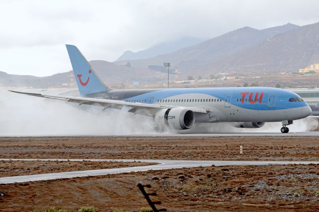Boeing 787-8 (PH-TFJ)