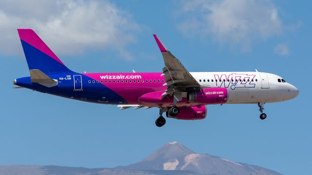 Airbus A320 (HA-LSB) - TENERIFE SUR