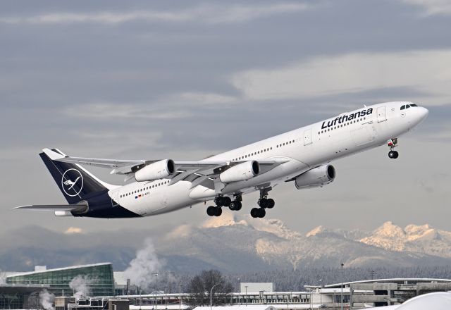 Airbus A340-300 (D-AIFE)