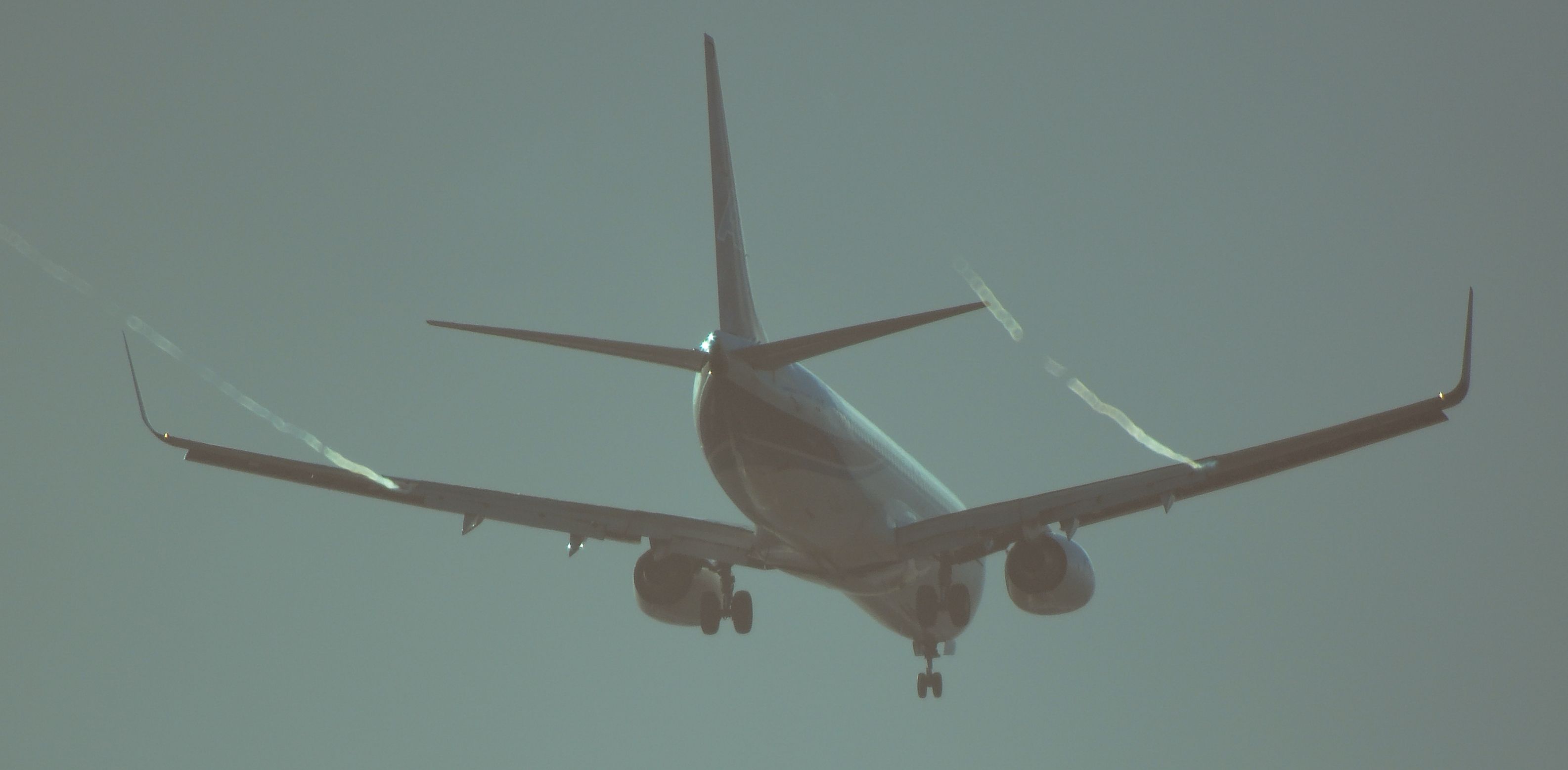 Boeing 737-800 (F-ONGA)
