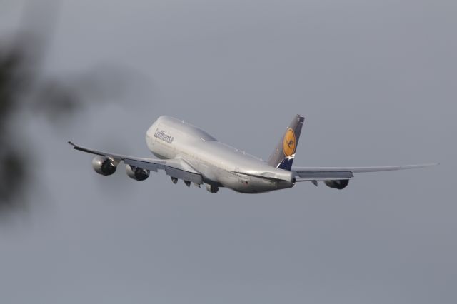 BOEING 747-8 (D-ABYC)