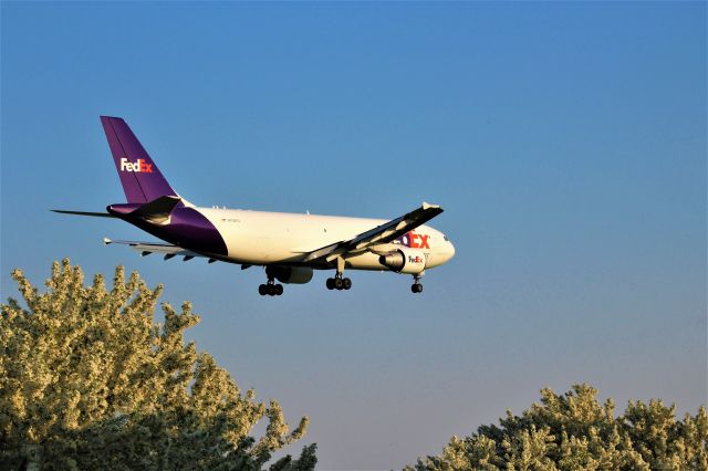 Airbus A300F4-600 (N750FD) - Crab Apples in full bloom during a spring time seen at Appleton International. 