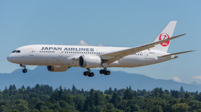Boeing 787-8 (JA824J)