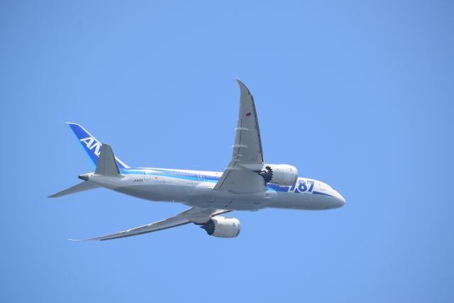 Boeing 787-8 (JA812A)