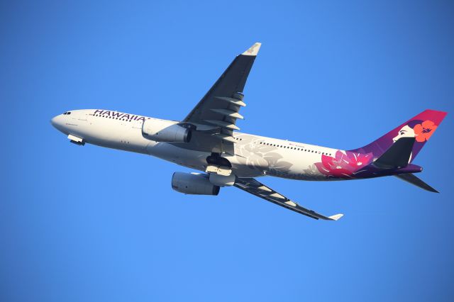 Airbus A330-200 (N391HA)