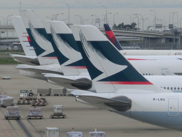 Airbus A330-300 (B-LBG)