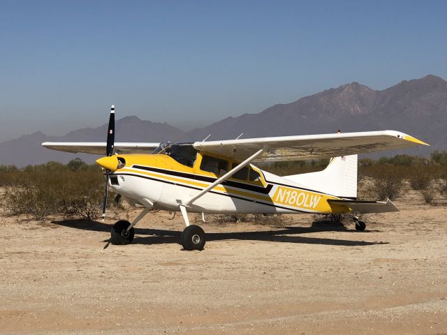 Cessna Skywagon 180 (N180LW)