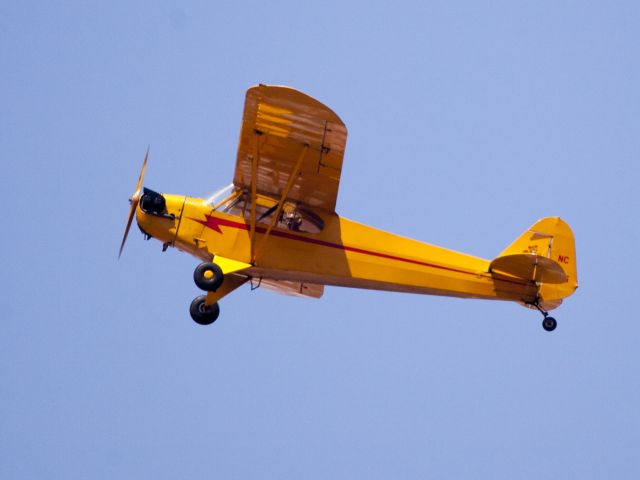 Piper NE Cub (N98155)