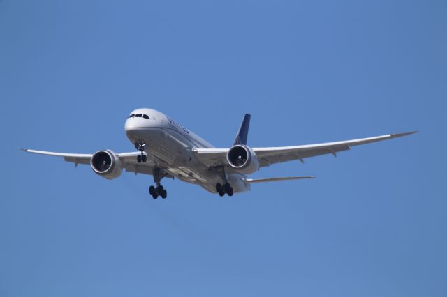 Boeing 787-8 (N27901)