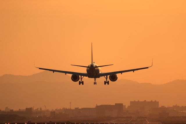 Airbus A320 (JA216A) - July 9th 2020:HND-HKD.