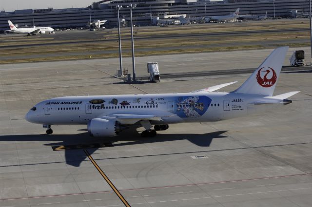 Boeing 787-8 (JA828J) - Taxing at Haneda Intl Airport on 2012/12/12 "Special Jiburi c/s"