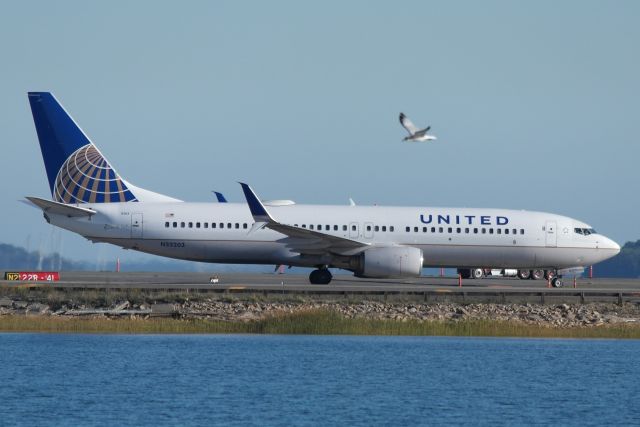 Boeing 737-800 (N33203)