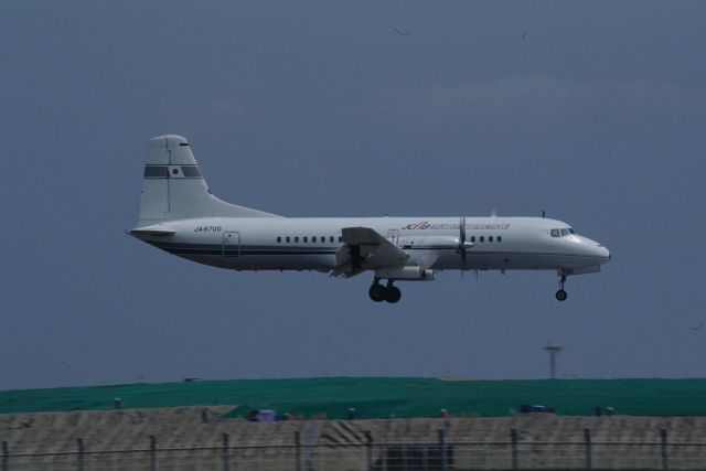 NAMC (1) YS-11 (JA8700) - Short Final at Tokyo-Haneda Intl Airport Rwy22 on 1996/04/26 " Japan Civil Aviation "