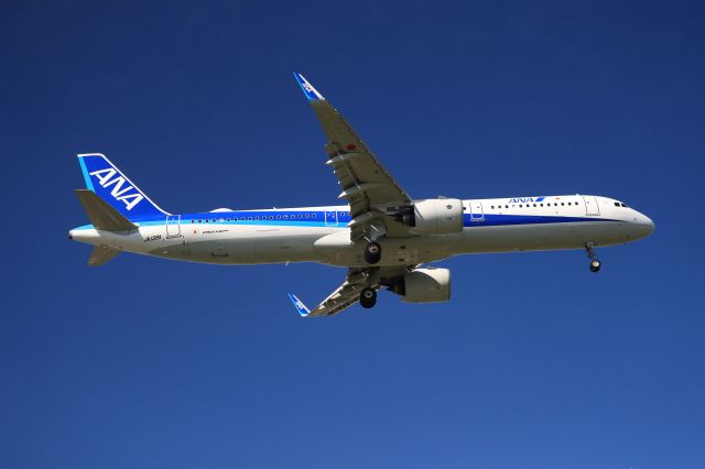 Airbus A321neo (JA138A) - August 8th 2020:HND-HKD.