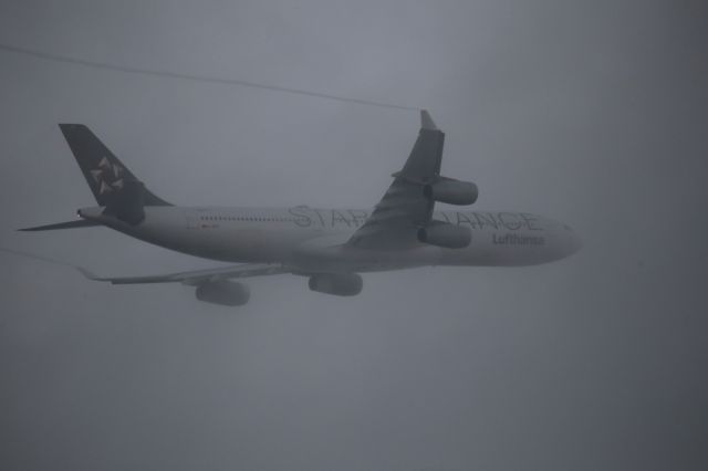 Airbus A340-300 (D-AIFE)