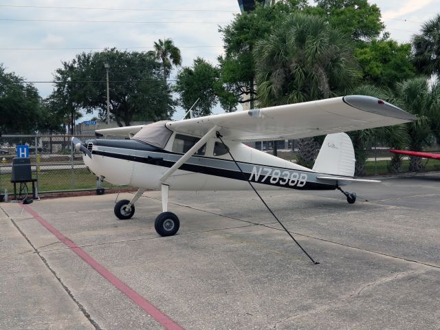 Cessna Skyhawk (N7838B) - A beauty!