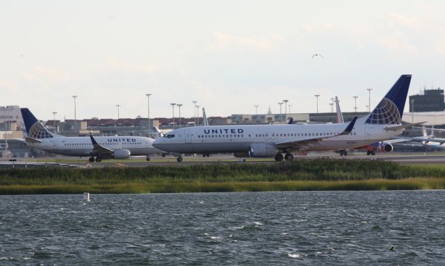 Boeing 737-800 (N17244)