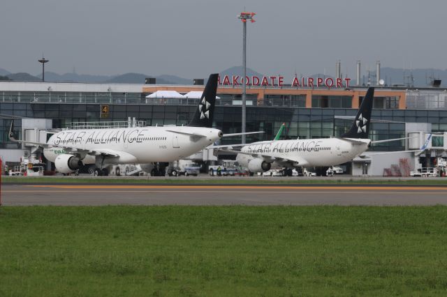 Airbus A321 (B-16206) - 01 August 2015:EVA is Left, Right is ANA B738(JA51AN).