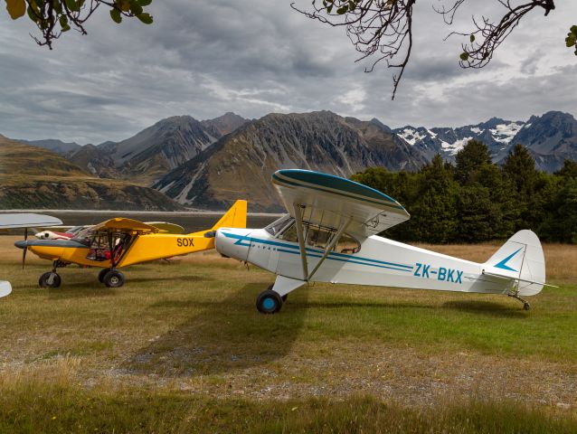 Piper L-21 Super Cub (ZK-BKX) - Jellicoe Hut strip, New Zealand