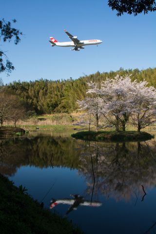 Airbus A340-300 (HB-JMO)