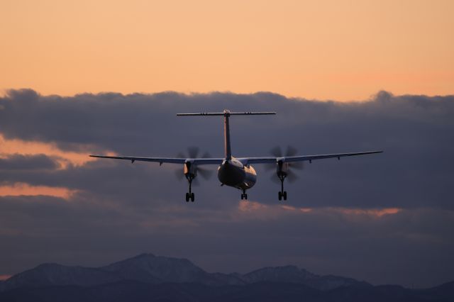 de Havilland Dash 8-400 (JA857A) - March 4th 2022:CTS-HKD.